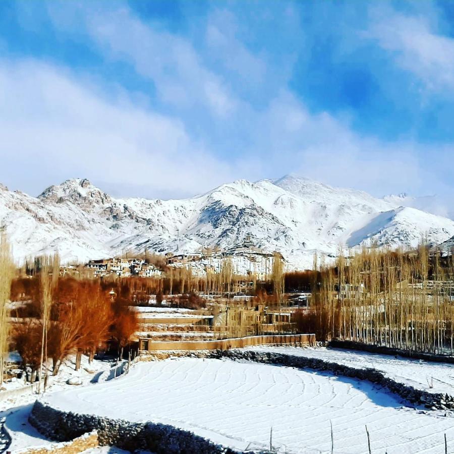 Ladakh Country Inn Leh Eksteriør billede